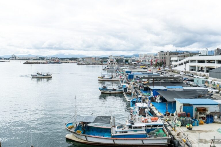 [강원] 주문진항