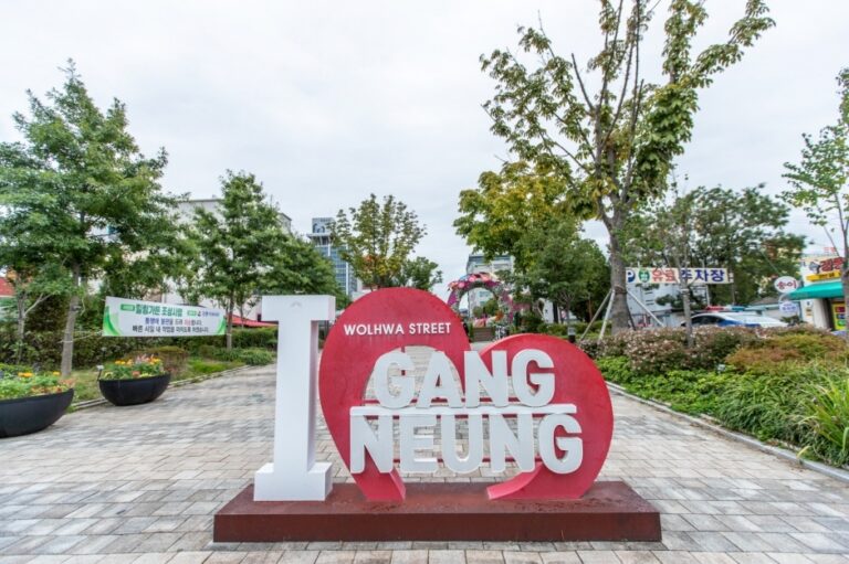 [강원] 강릉 월화거리