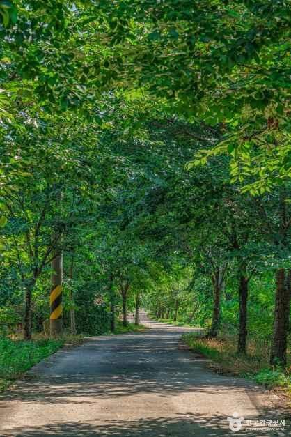[강원] 전천·전천생활체육공원