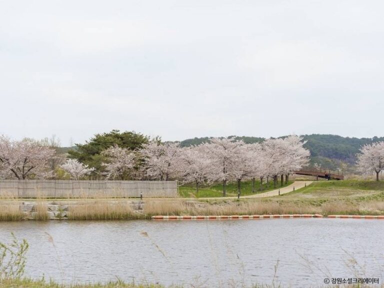 [강원] 경포생태저류지