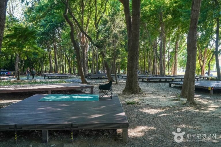 [대구] 사문진피크닉장