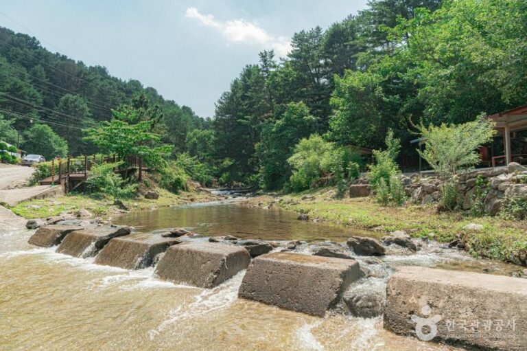 [경기] 깊이울유원지