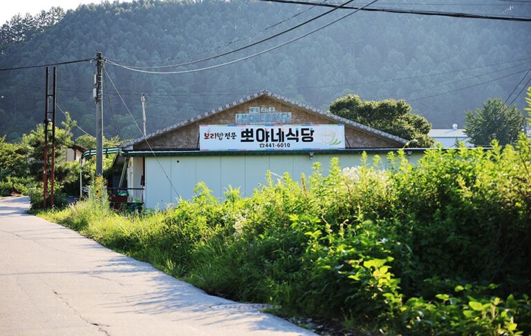 [강원] 뽀야네식당