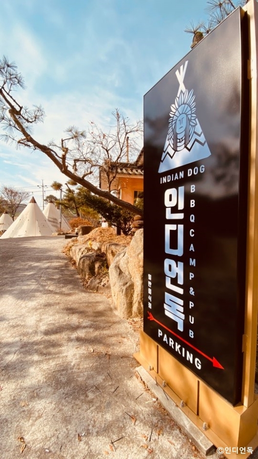 [강원] 인디언독