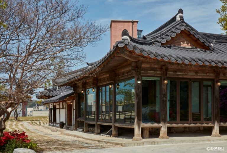 [강원] 라몬타냐