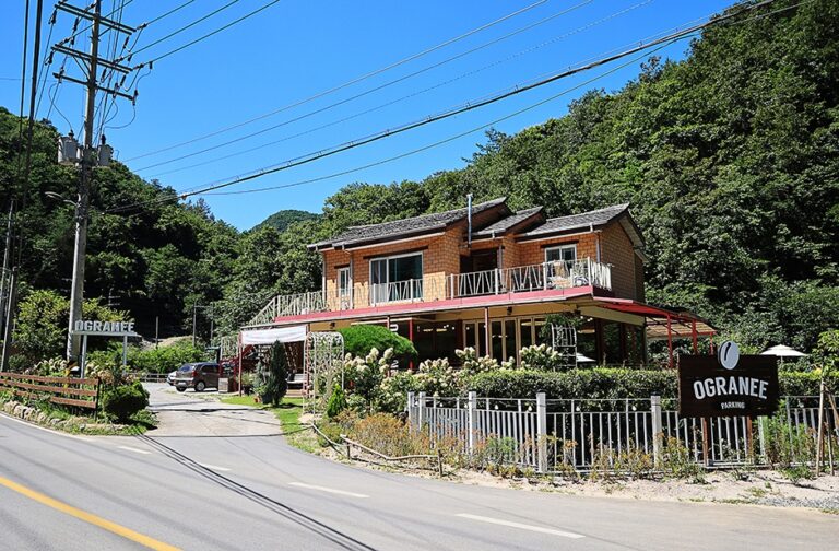 [강원] 오그란이 단팥빵
