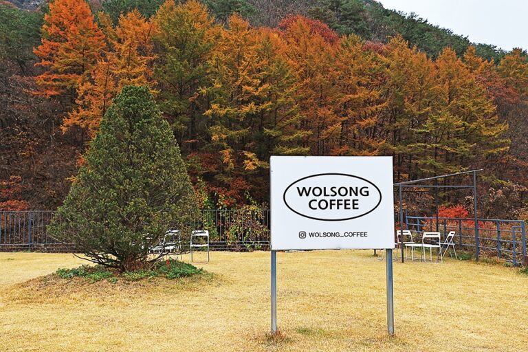 [강원] 월송커피