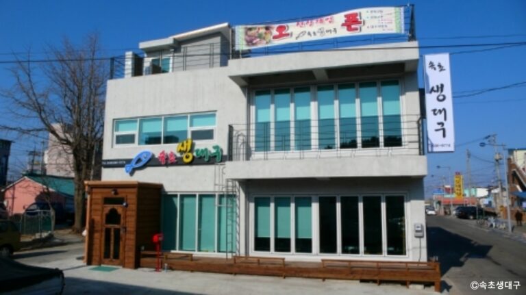 [강원] 속초생대구