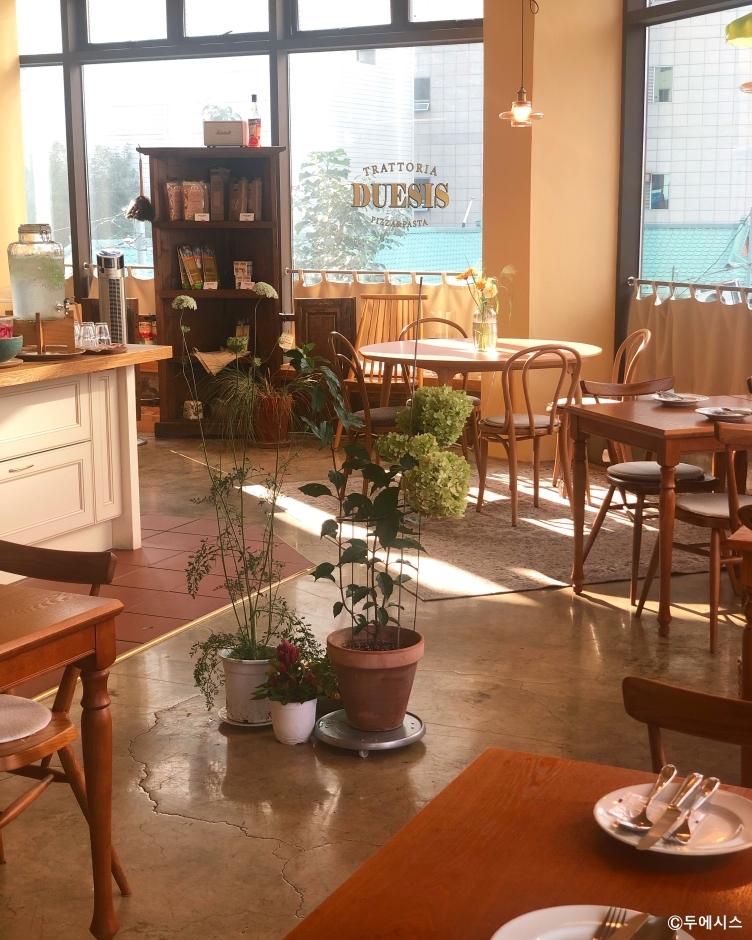 [강원] 두에시스