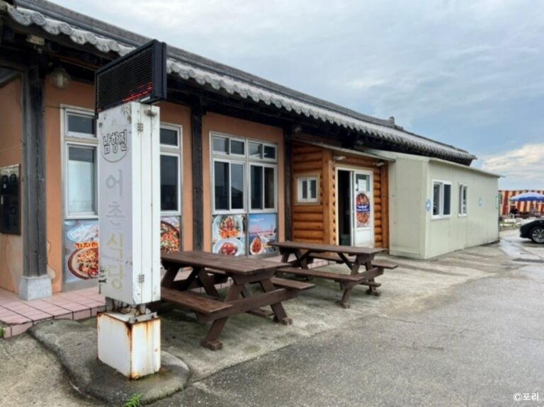 [강원] 남항진어촌식당