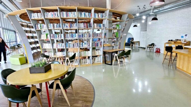 [강원] 꿈꾸는달카페