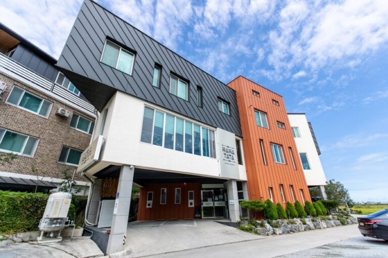 [강원] 마마타타