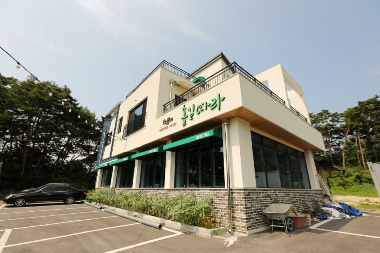 [강원] 솔길따라