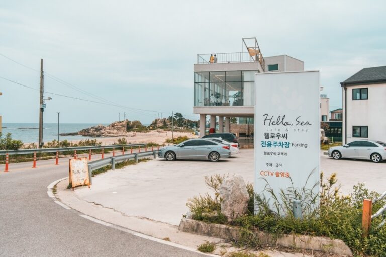 [강원] 헬로우씨카페