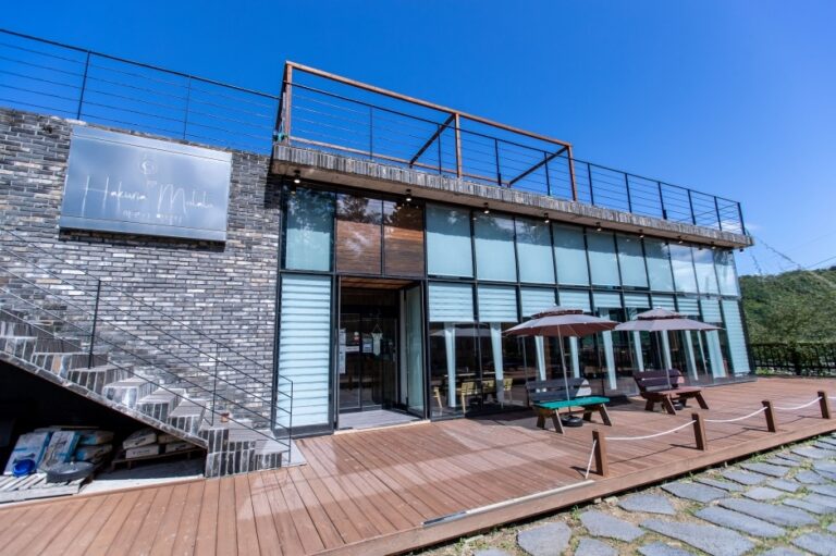 [강원] 하쿠나마타타