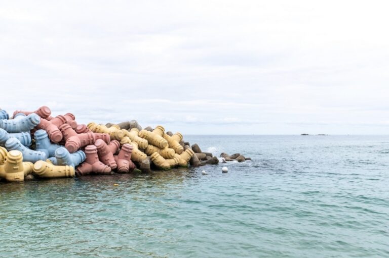 [강원] 고심쌀롱