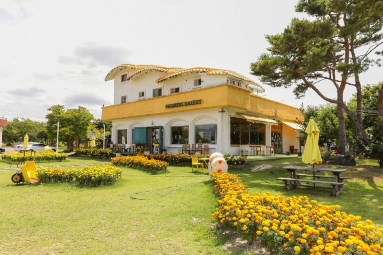 [강원] 파머스가든