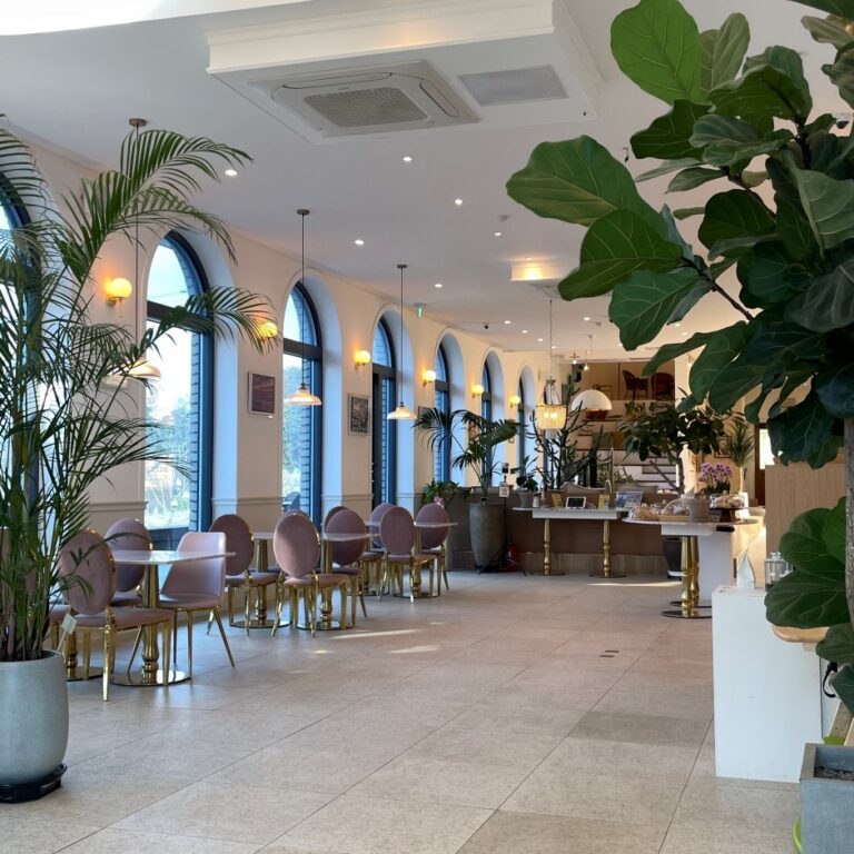 [강원] 로스터리 카페 더웨이