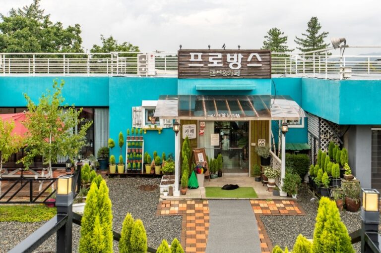 [강원] 프로방스 카페