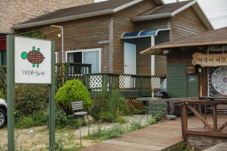 [강원] 거북이서프바