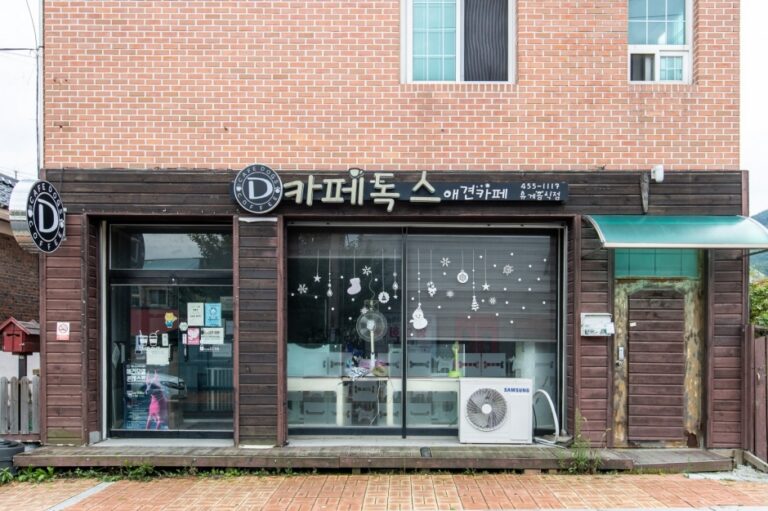 [강원] 카페독스