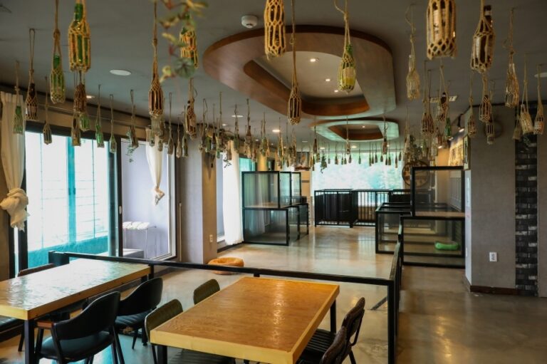 [강원] 카페루아