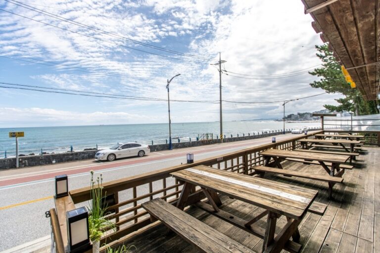 [강원] 추암대게