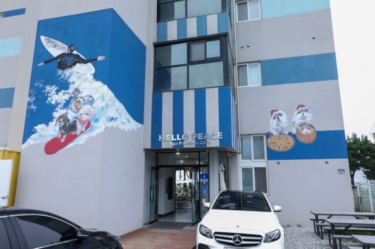 [강원] 헬로피스카페