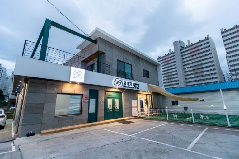 [강원] 둥개둥개