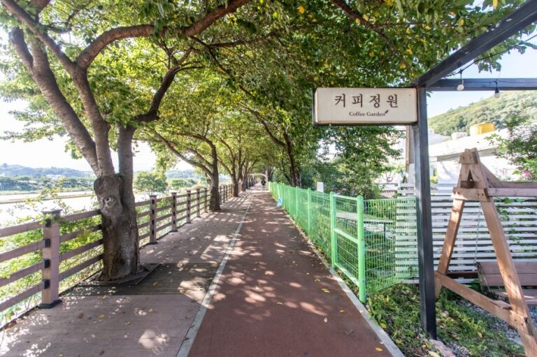 [강원] 커피정원