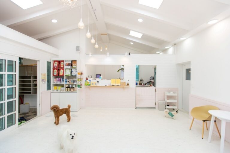 [강원] 삐삐라떼