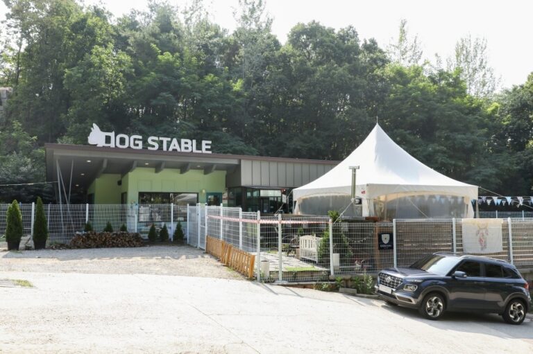 [강원] 도그스테이블