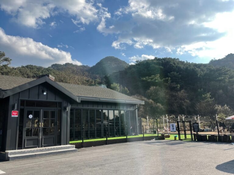 [강원] 스누피 애견카페