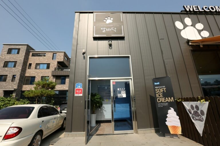 [강원] 발바닥 애견카페