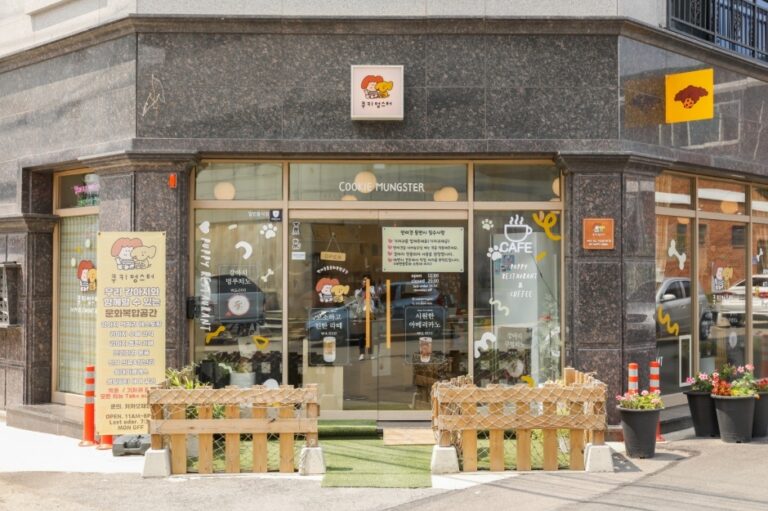 [강원] 쿠키멍스터