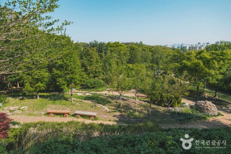 [서울] 대모산숲속야생화원