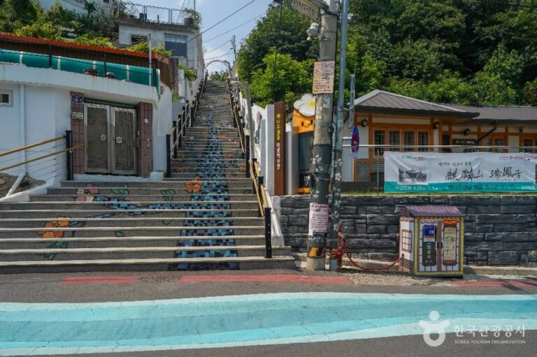 [대구] 이천동 99계단 벽화마을