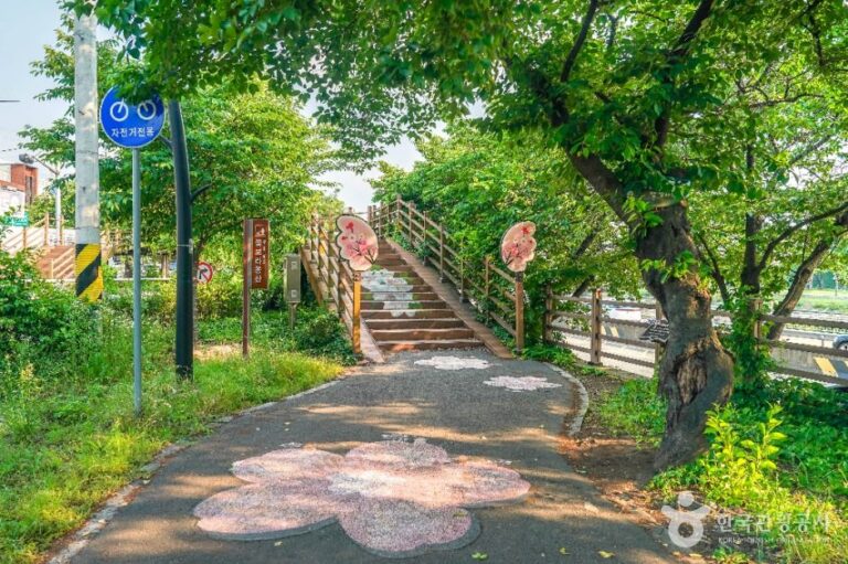 [대구] 꽃보라동산