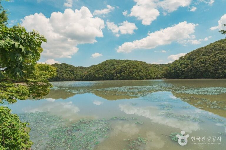 [울산] 두현저수지