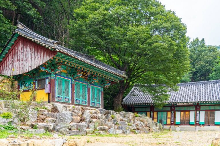 [경기] 청원사(안성)