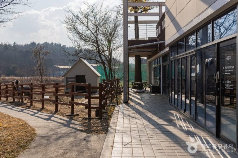 [강원] 포레스트카페