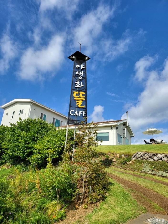 [인천] 야생화뜰