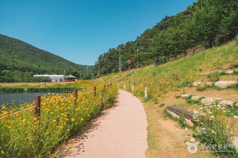 [대구] 진밭골산림공원