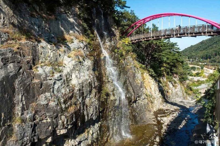 [대구] 옥연지 송해공원