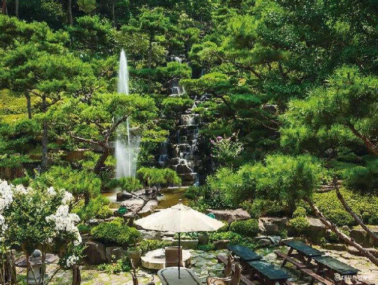 [대구] 대한수목원