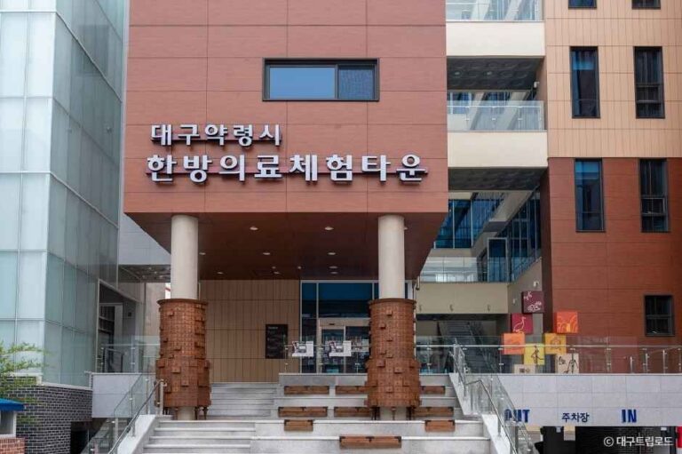 [대구] 대구약령시 한방의료체험타운