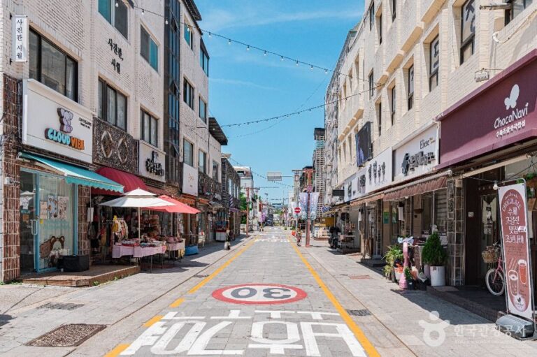 [경기] 수원 공방거리