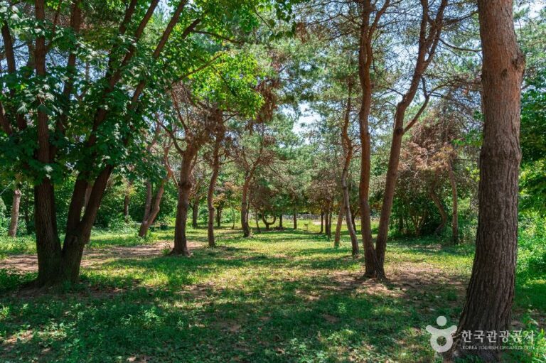 [경기] 무궁화동산