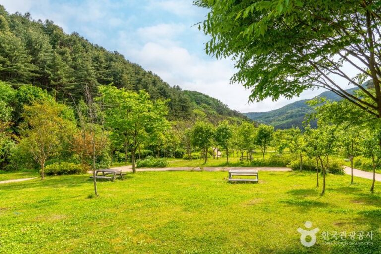 [경기] 매쟁이골