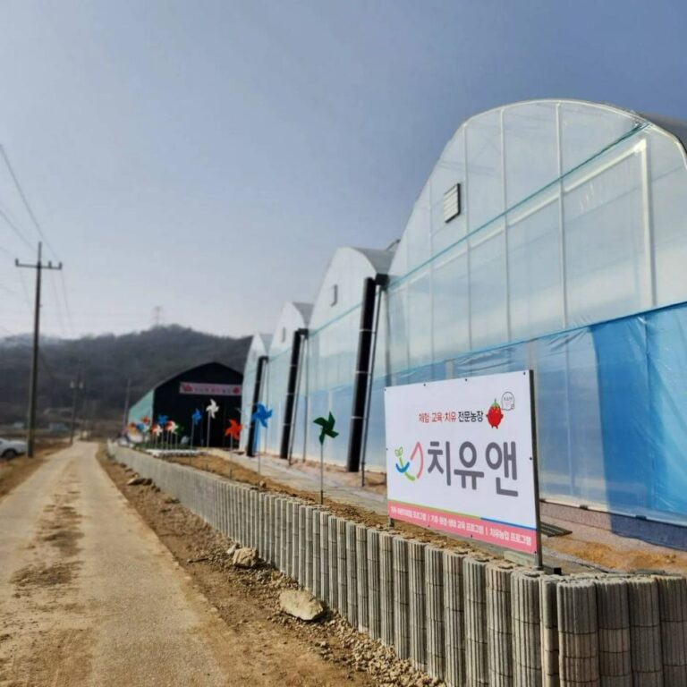 [경기] 치유앤 딸기 체험 농장